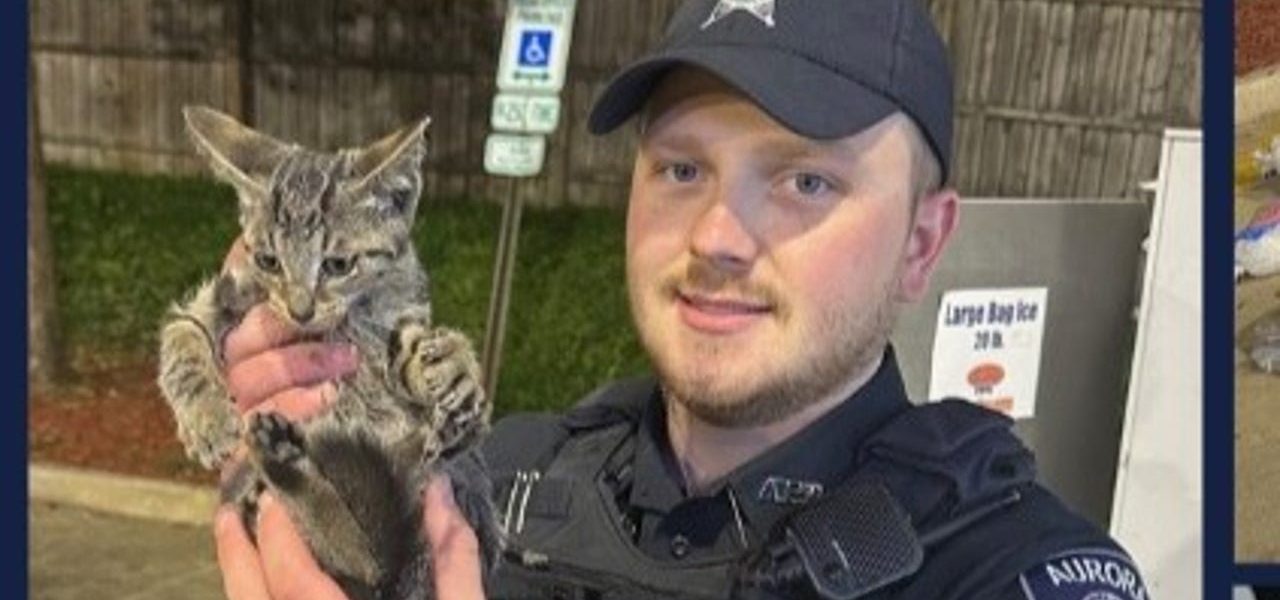 Kitten rescued stuck in Aurora ice machine, police say