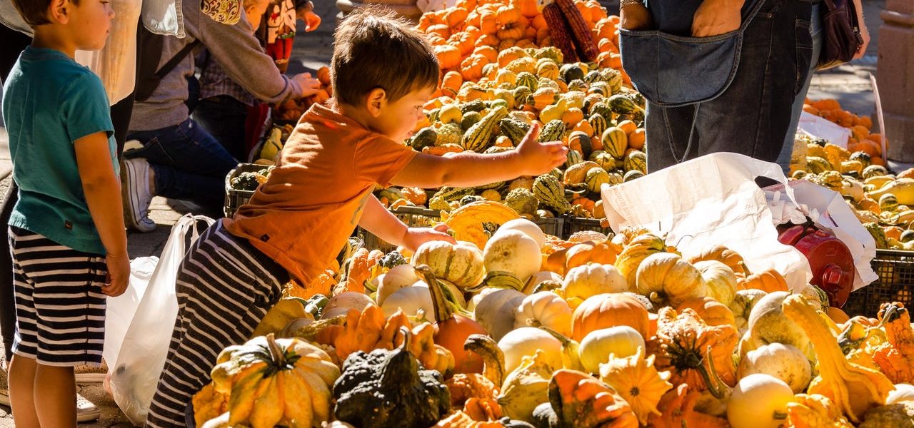 Chicagoland guide to fall things to do: Pumpkin patches, festivals, Halloween events