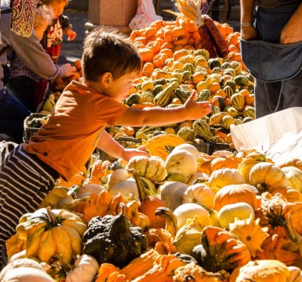Chicagoland guide to fall things to do: Pumpkin patches, festivals, Halloween events