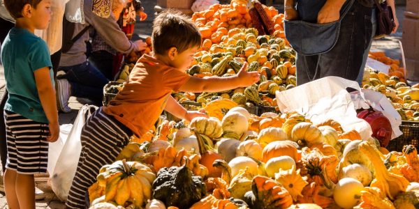 Chicagoland guide to fall things to do: Pumpkin patches, festivals, Halloween events