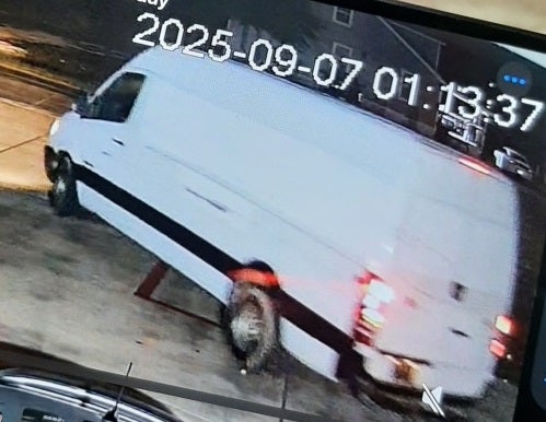 The suspect fled in a white van, cops said