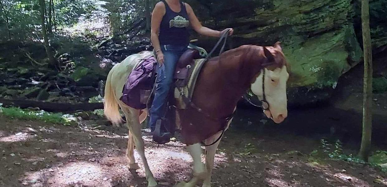 Heroic Mother of Three Dies Saving Friend in Tragic Horseback Accident on California Highway