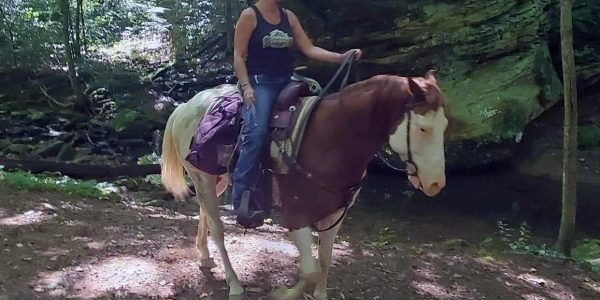 Heroic Mother of Three Dies Saving Friend in Tragic Horseback Accident on California Highway