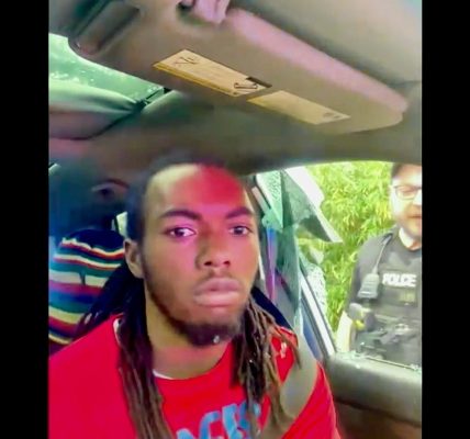Florida man punched in face by cops during viral traffic stop sues sheriff and city of Jacksonville
