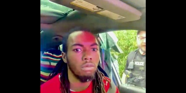 Florida man punched in face by cops during viral traffic stop sues sheriff and city of Jacksonville