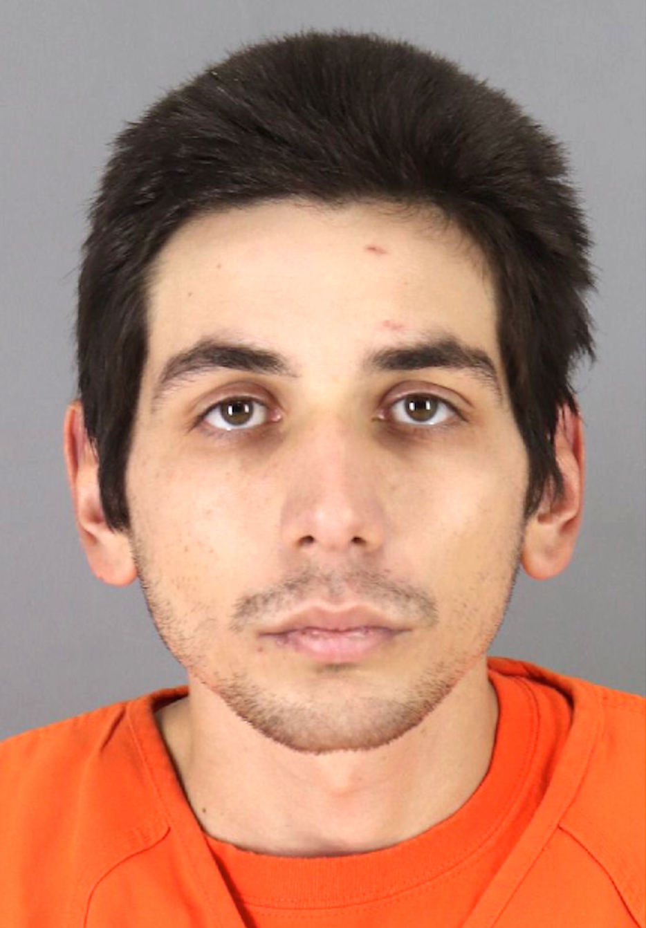 Francis Wolke stabbed Kathleen Hughes Anderson to death at her Menlo Park home on Dec. 12, 2018