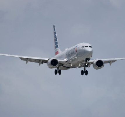 American Airlines passenger duct-taped to seat after midflight meltdown