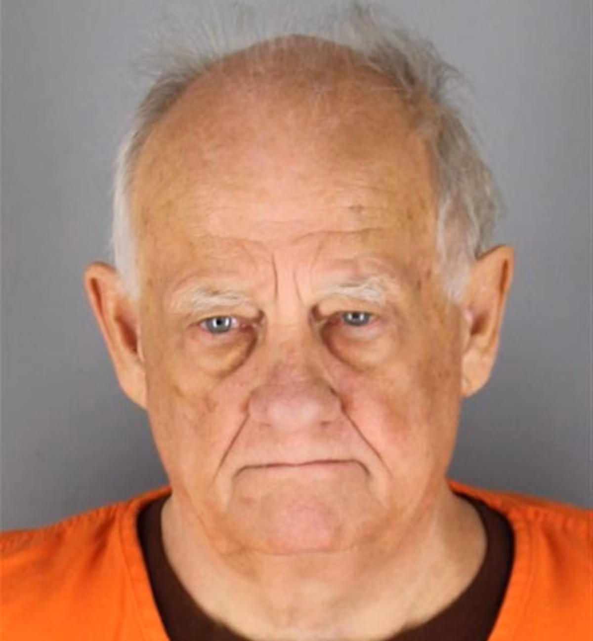 Robert Phillip Ivers, 72, of Minnesota, has been charged with threatening to assault and murder a federal judge after allegedly printing and showing his manifesto to library employees.