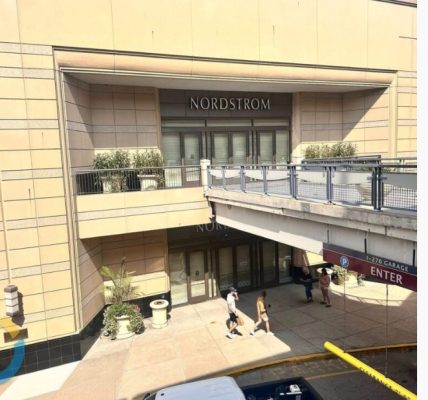 Des Peres, Missouri mall placed on brief lockdown after shooting scare leaves shoppers shaken but safe