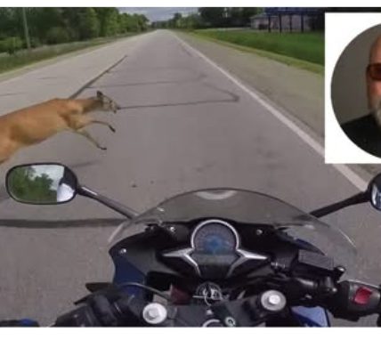 Waynesboro, Virginia: Barton Andrew Weitzel Dies in Shocking Motorcycle Collision Involving Deer and Pickup Truck