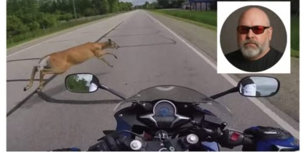 Waynesboro, Virginia: Barton Andrew Weitzel Dies in Shocking Motorcycle Collision Involving Deer and Pickup Truck
