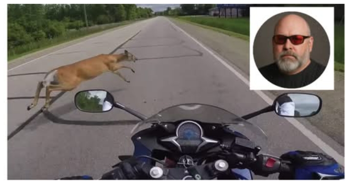 Waynesboro, Virginia: Barton Andrew Weitzel Dies in Shocking Motorcycle Collision Involving Deer and Pickup Truck