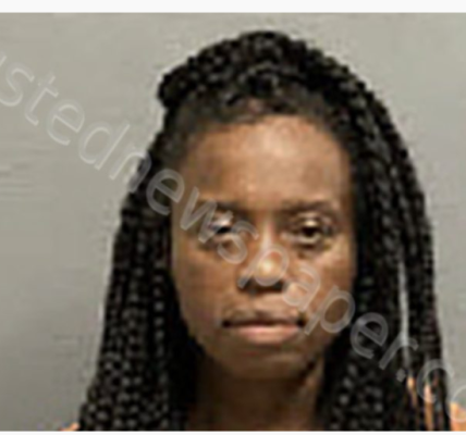 Dothan Alabama woman Fatimah Ali Borders tragically passes away after being struck by vehicle Wednesday morning