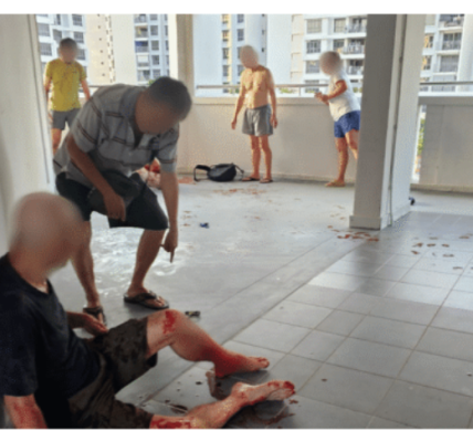 YISHUN, Singapore – Nguyen Phuong Tra Passes Away in Stabbing Incident, Neighbour Koh Ah Hwee Charged