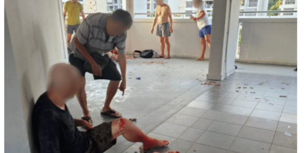 YISHUN, Singapore – Nguyen Phuong Tra Passes Away in Stabbing Incident, Neighbour Koh Ah Hwee Charged