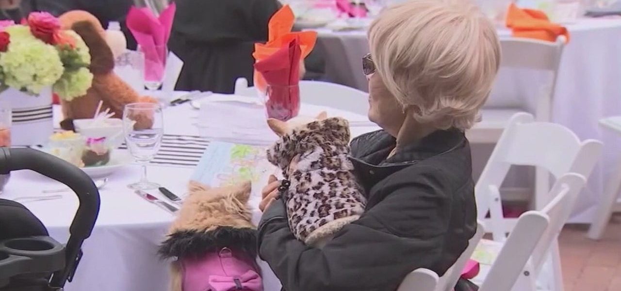 Chicago restaurants could become more dog friendly thanks to new proposed ordinance