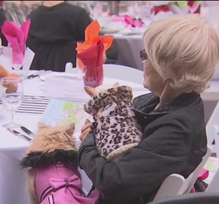 Chicago restaurants could become more dog friendly thanks to new proposed ordinance