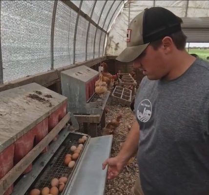 Chicago-area farm delivering free fresh food to veterans in need