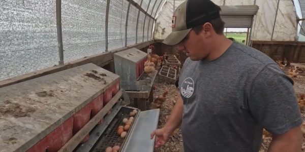 Chicago-area farm delivering free fresh food to veterans in need