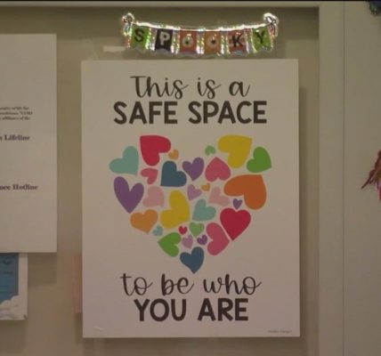 Answering 160 calls a day: Illinois’ battle against domestic violence