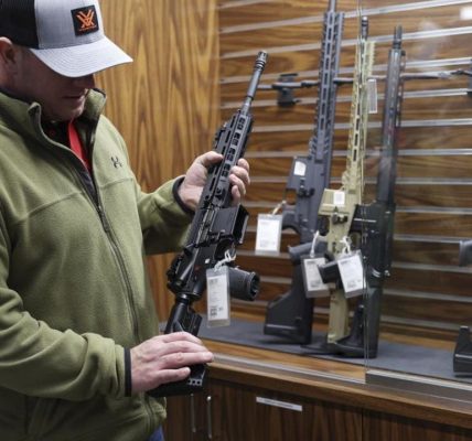 Trump DOJ official argues against Illinois assault weapons ban