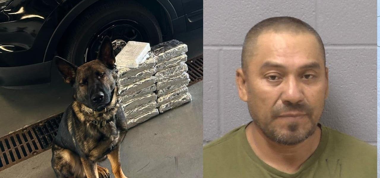 Will County police nab 15kg of cocaine during traffic stop, sheriff says