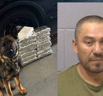 Will County police nab 15kg of cocaine during traffic stop, sheriff says