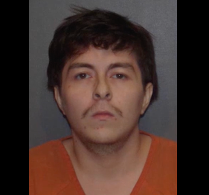 Texas man holds driver who hit his dog at gunpoint and forces him to dig beloved pet’s grave: cops