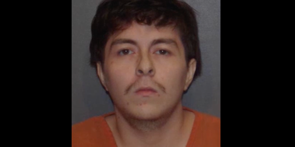 Texas man holds driver who hit his dog at gunpoint and forces him to dig beloved pet’s grave: cops