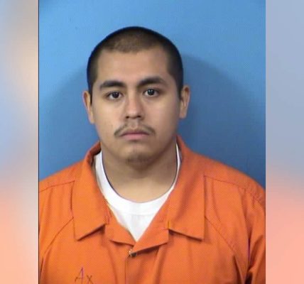 Illinois man convicted after firing 18 shots in bar, striking woman in head: officials