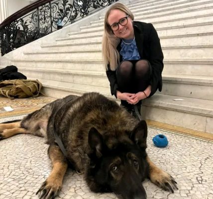 DEDHAM, Mass. (Sept. 25, 2025) — With profound sadness, the family of Samantha Kemp, age 38, of Dedham, Massachusetts, has announced her passing on Thursday, September 25, 2025