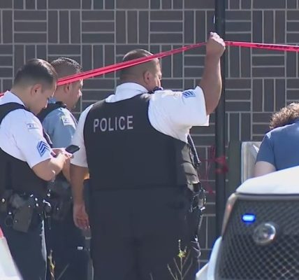 Man, 24, sitting outside shot and killed in Chicago: police