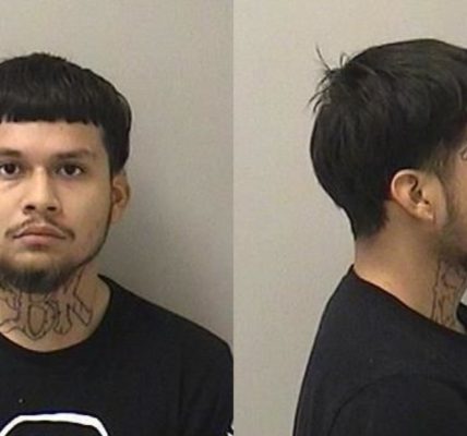 Illinois man sentenced for Dunkin' drive-thru carjacking in Chicago suburb