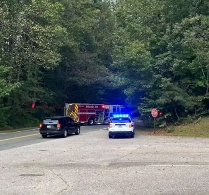Henrico County, Virginia – A devastating crash on Carolina Avenue claimed the life of 53-year-old Bruce Scott Meade, a motorcyclist whose Harley Davidson was struck in the early morning hours.
