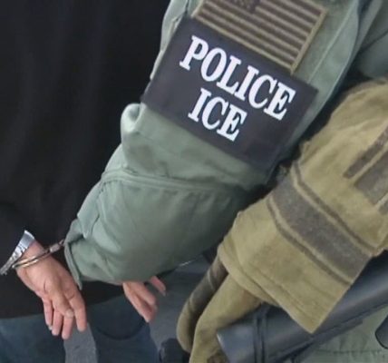 Two Chicago-area undocumented immigrants accused of ramming ICE vehicles during 'Operation Midway Blitz'