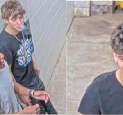 Chicago crime: 3 suspects wanted for downtown CTA train robbery, police say
