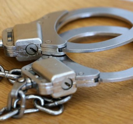 Chicago area teen found with gun after high-speed chase, sheriff says