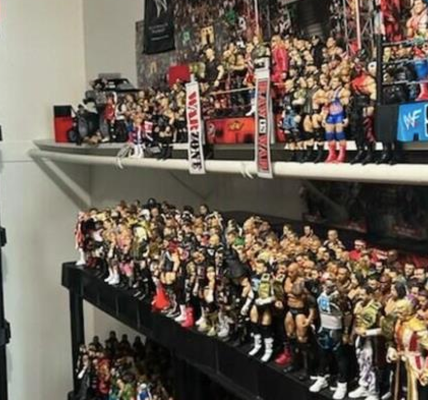 Pair arrested in San Diego after police seize stolen wrestling action figures ‘worth thousands’
