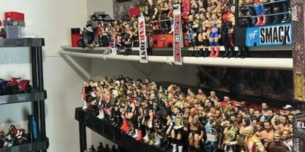 Pair arrested in San Diego after police seize stolen wrestling action figures ‘worth thousands’
