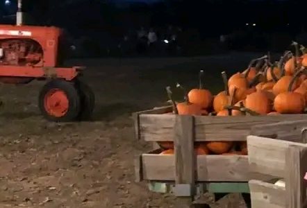 Paulding County, Georgia — A young girl, student at McGarity Elementary School, tragically died following a drowning accident at Carlton Farms in Rockmart.