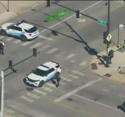 Chicago – A 35-year-old man was shot by police Thursday after allegedly fleeing officers while armed with a handgun on the city’s South Side, authorities confirmed.