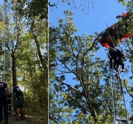 On October 4, 2025, a tragic skydiving accident occurred near Nashville, Tennessee, involving a 35-year-old instructor and his 46-year-old student
