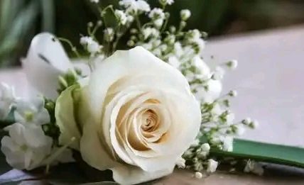Sharon, Massachusetts – A devastating crash in Sharon left one teenager dead and two adults seriously injured after a vehicle veered off the road, struck a tree
