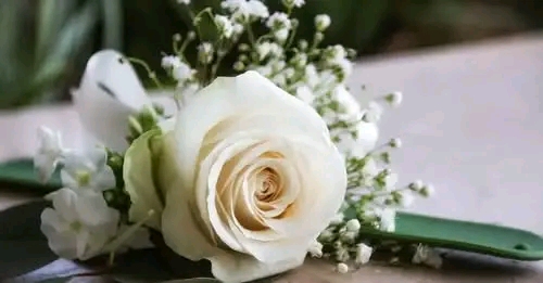 Sharon, Massachusetts – A devastating crash in Sharon left one teenager dead and two adults seriously injured after a vehicle veered off the road, struck a tree