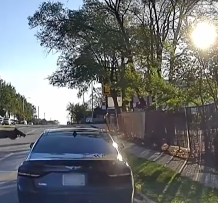 Family of Elijah Wilks, Black man gunned down by off-duty cop in Milwaukee, admit shooting was justifed
