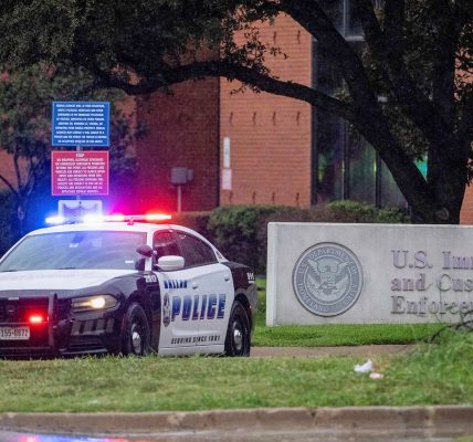 Migrant arrested after posting on TikTok offering a $10K bounty for ICE agents