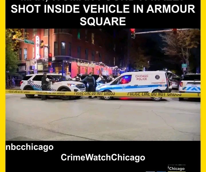 Chicago, Illinois — Two People Found Shot to Death in Armour Square