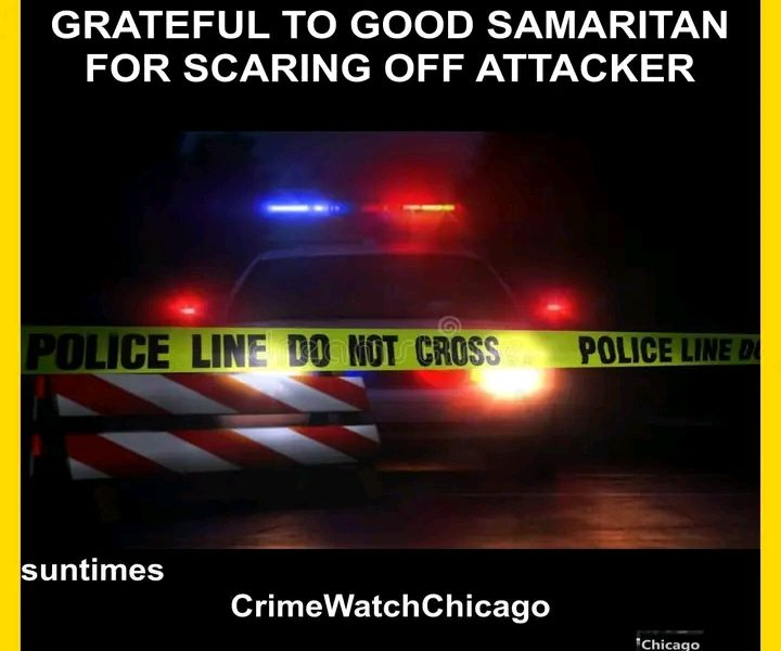 Chicago, Illinois — Sierra Ruggiero was just 10 minutes from home Wednesday night when a terrifying attack left her shaken and bruised