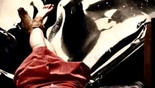 New York City, New York – Evelyn McHale, a 23-year-old bookkeeper from Berkeley, California, tragically ended her life on May 1, 1947, leaving a profound mark on history and the collective memory of New York City.