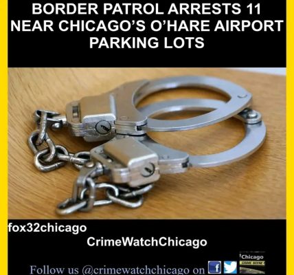 Chicago – Federal immigration authorities carried out a significant operation on Saturday, resulting in the arrest of 11 individuals at parking lots near O'Hare International Airport.